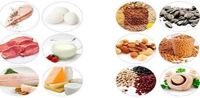 Eating protein products to lose weight